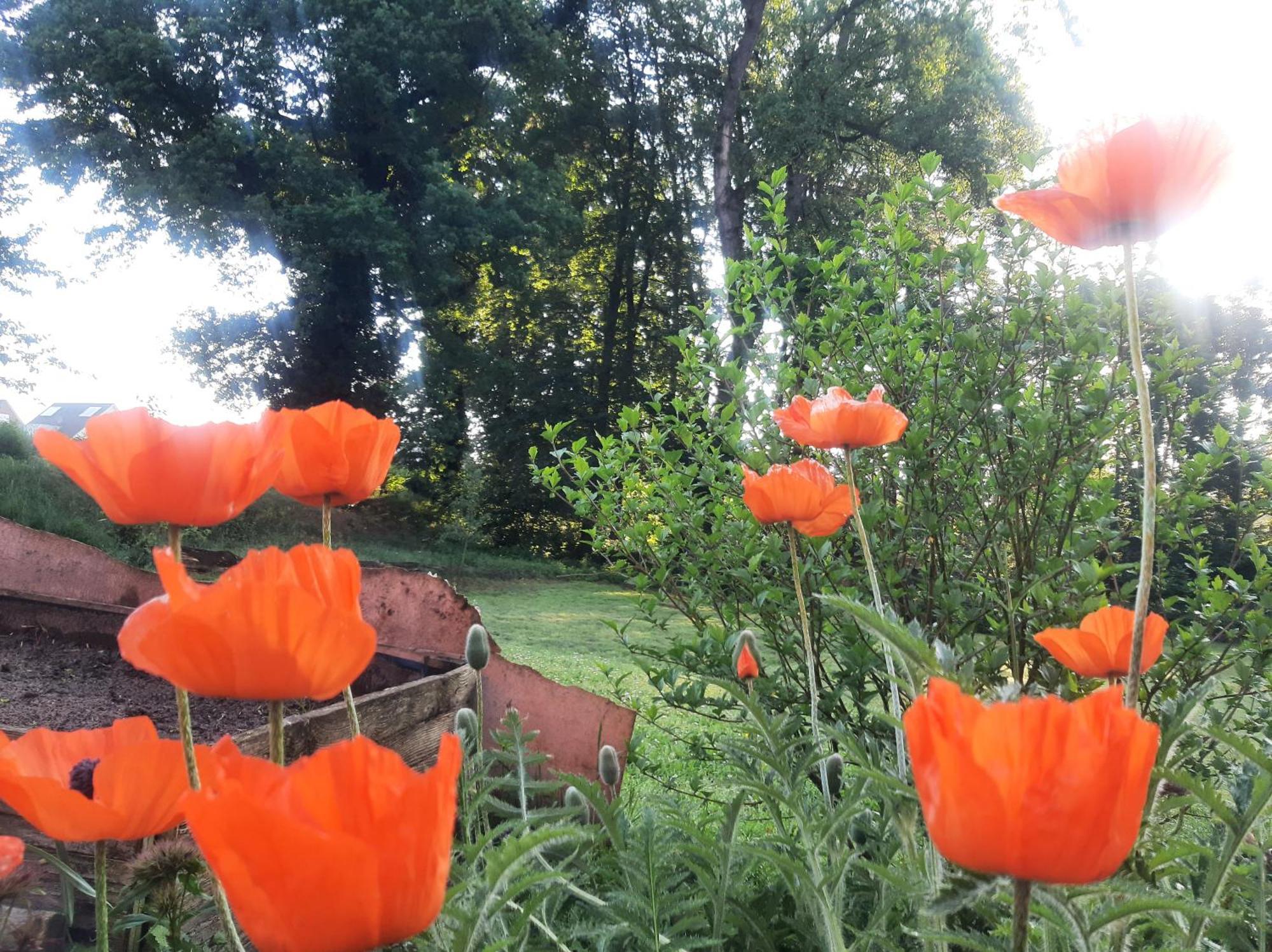 Ferienwohnung Auf Dem Land Ladbergen Екстериор снимка