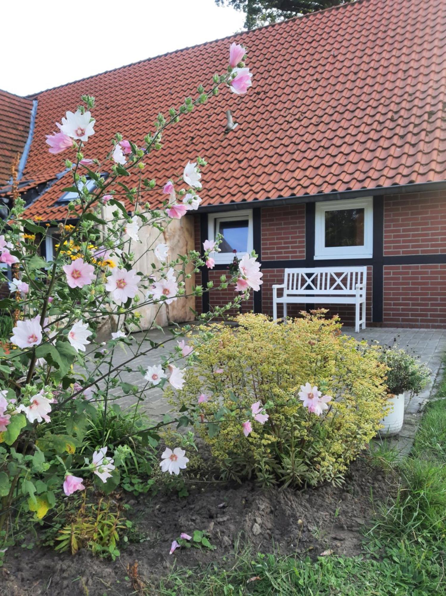 Ferienwohnung Auf Dem Land Ladbergen Екстериор снимка