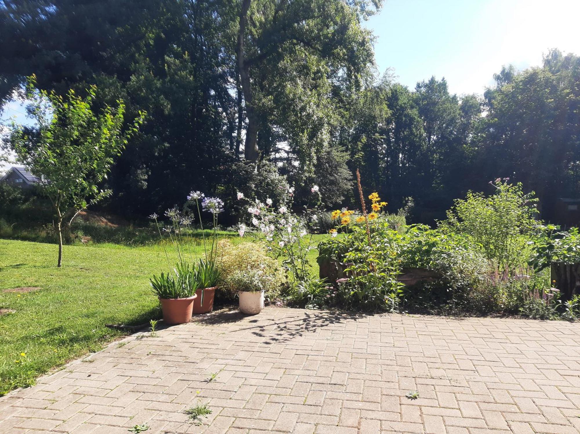 Ferienwohnung Auf Dem Land Ladbergen Екстериор снимка